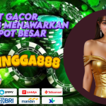 SLOT GACOR JINGGA888 MENAWARKAN JACKPOT BESAR